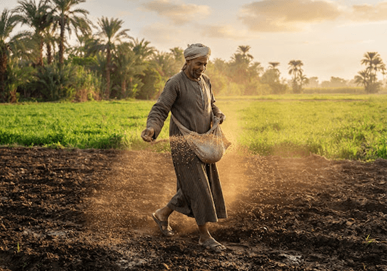 Hand-Scattered Seed Sowing