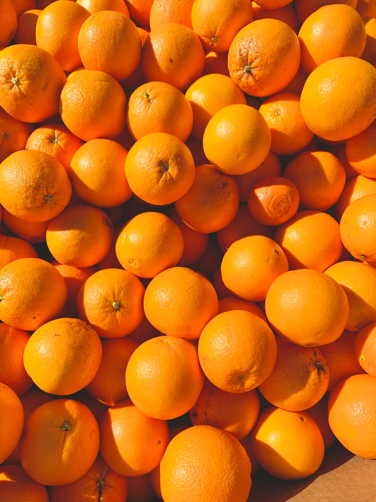 Fresh Valencia Oranges