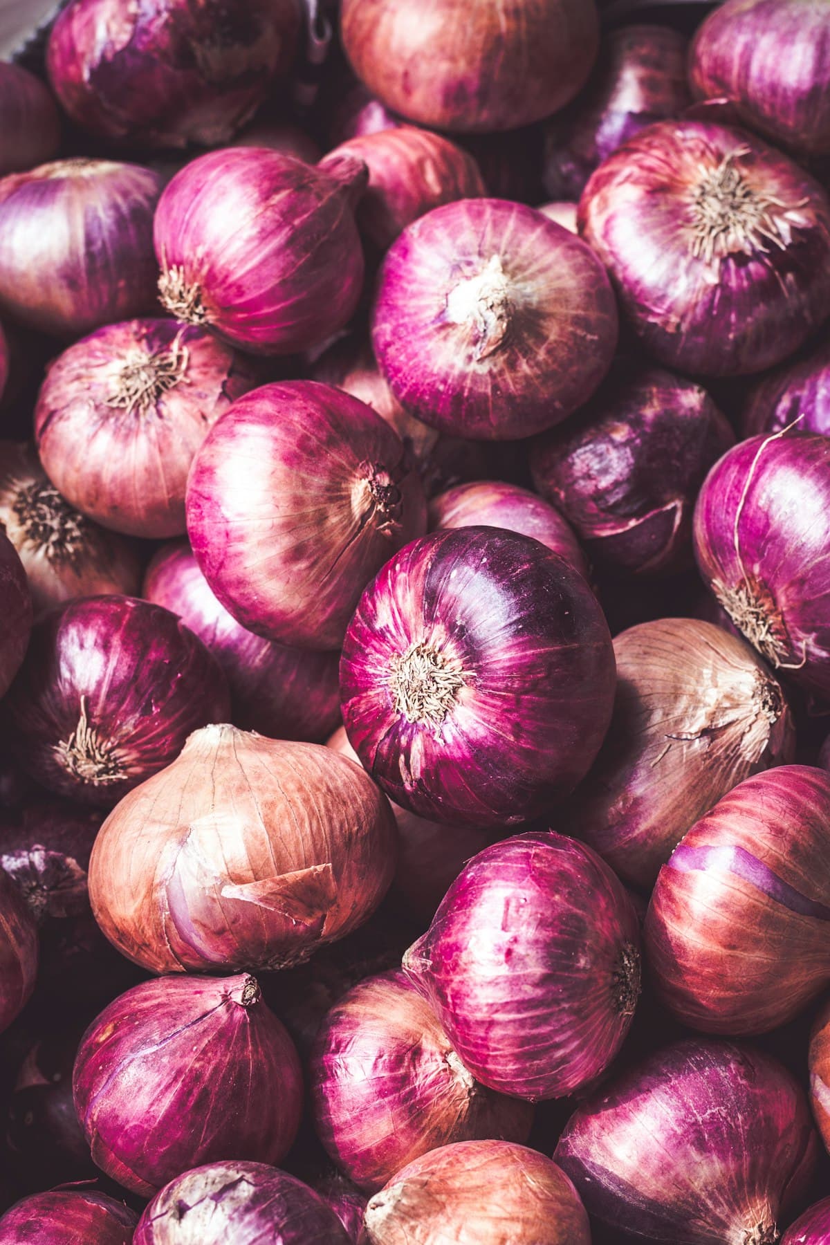 Red & Golden Dry Onions