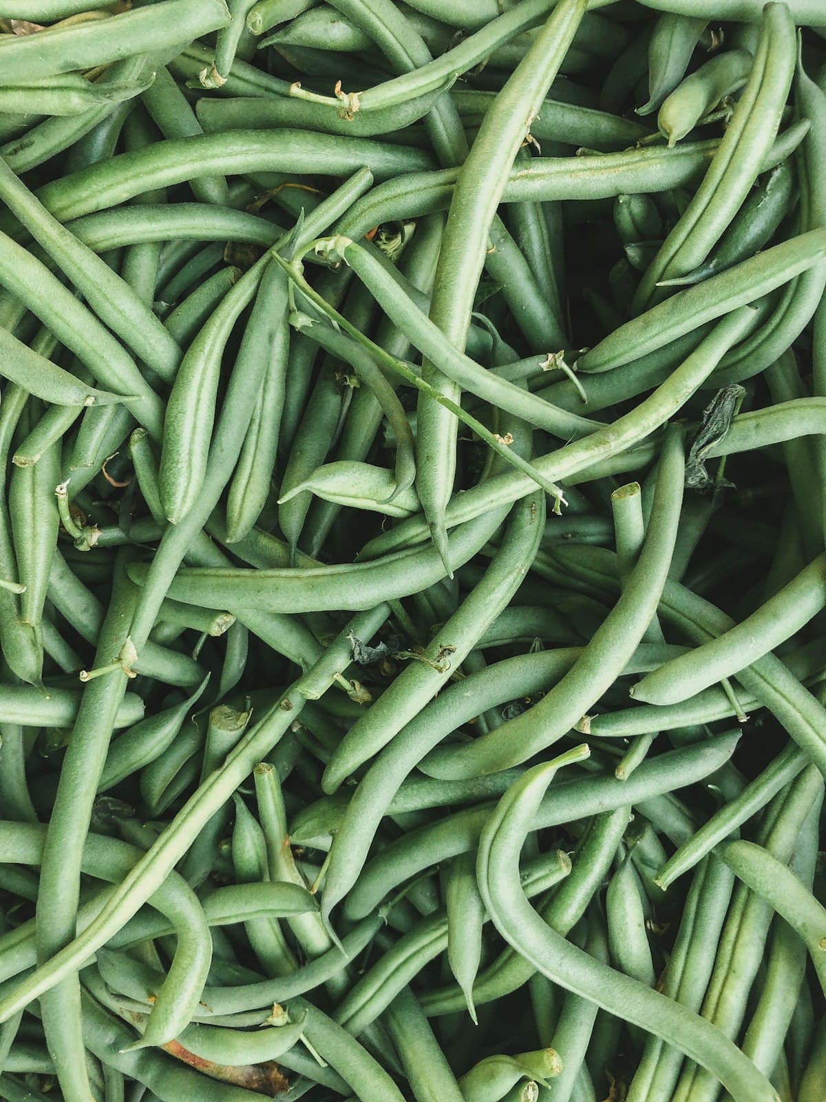 Fine & Extra Fine Green Beans