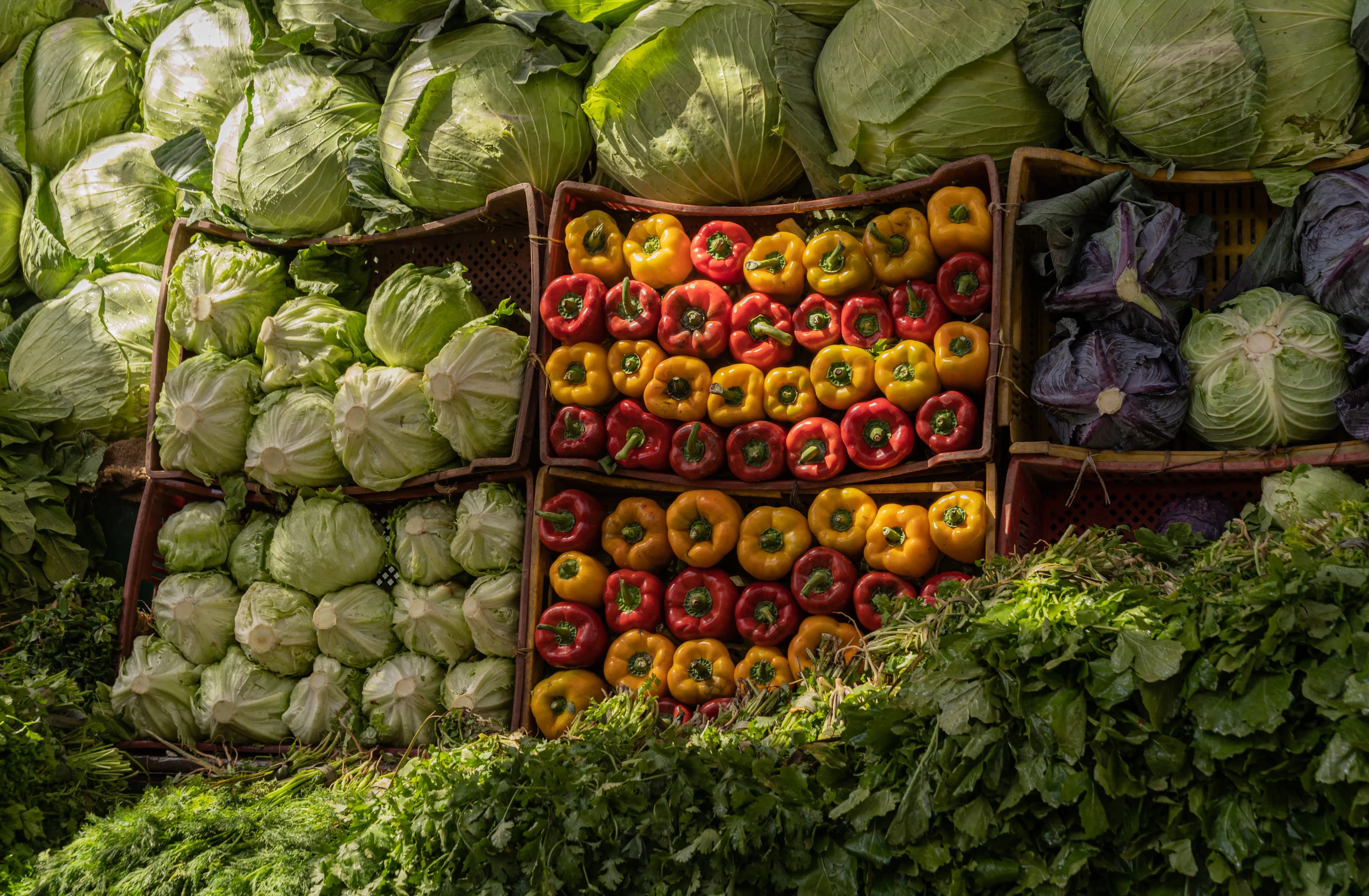 Premium Export Quality Farms