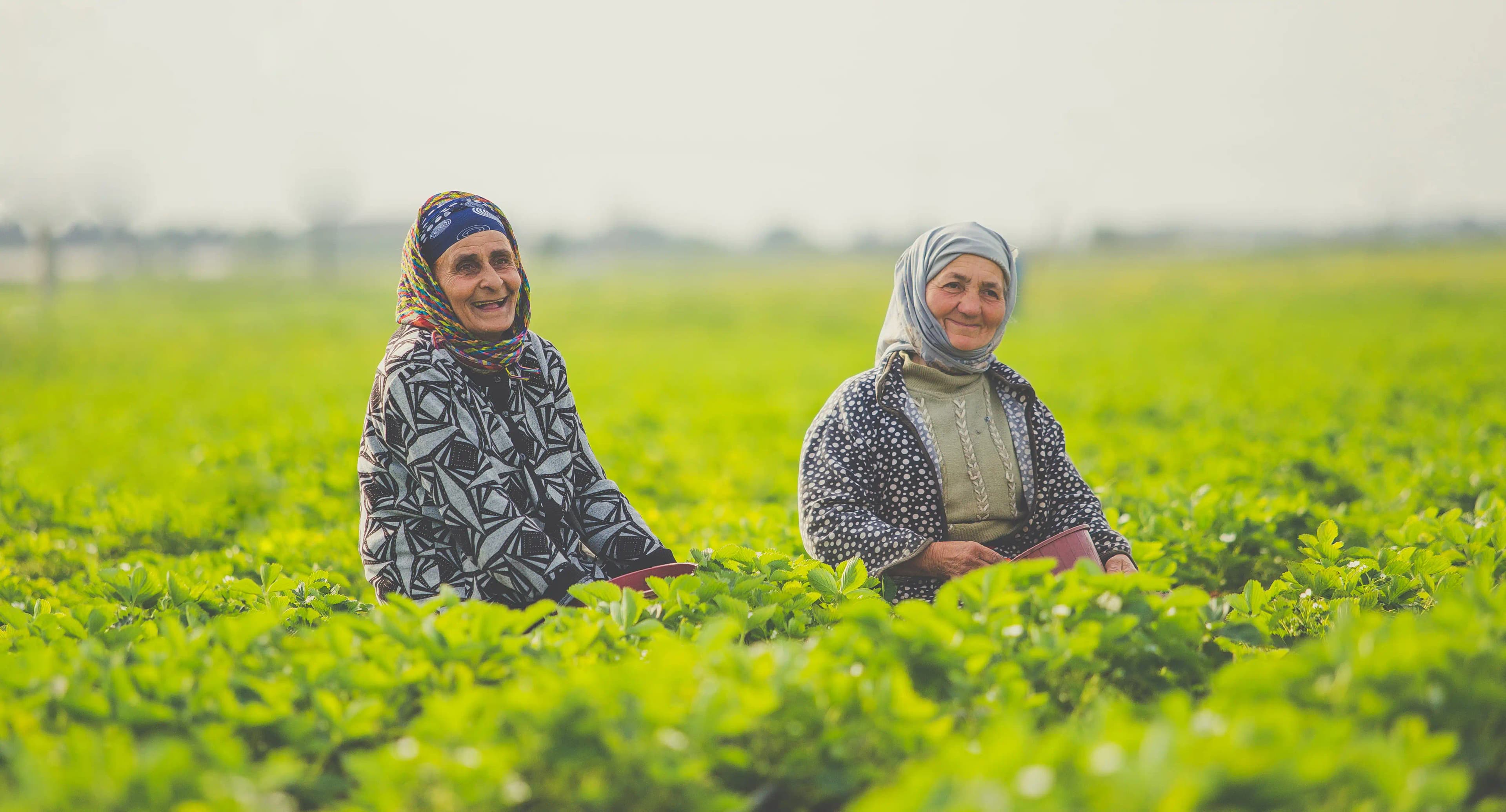 Global Agricultural Supply Chain