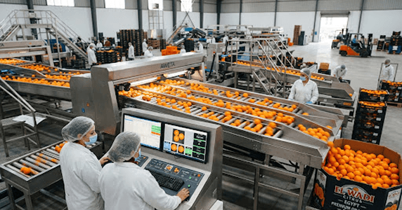 AUTOMATED OPTICAL CALIBER SIZING
